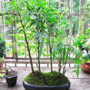 �^�p���ӷ�����_�h���ļ�����С�;Gֲ�҃ȾGֲ�����Բ����~�l؛