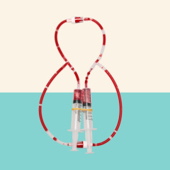 Primary School Science Experiment Equipment DIY Human Circulatory System Model Kindergarten Science and Technology Craft Wholesale