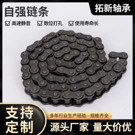 东华自强单双三排链08B 10A 12A 16A 20A 24A 28A32A工业传动链条