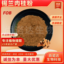 锡兰肉桂粉98%锡兰肉桂提取物食品原料批发肉桂多酚锡兰肉桂粉