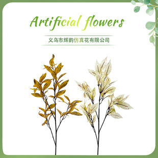 ������~����~���~���~��֧ �S�չ�ˇ�g�廨�[�� ������~���~��