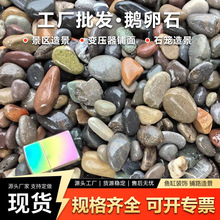 厂家直发鹅卵石5-8公分变压器专用园林造景水过滤工程铺路河卵石