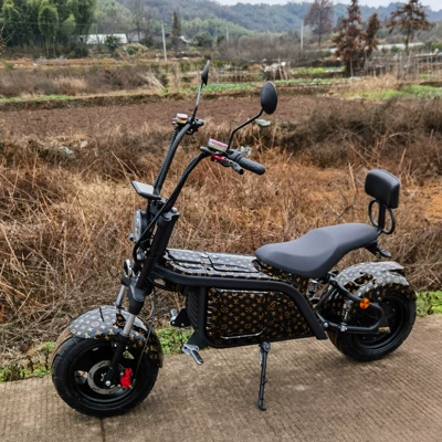 Elektrikli motosikletlər Harley Electric Scooter Two-Wheeled