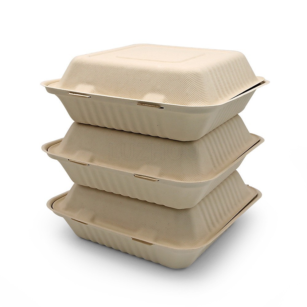 9 pulgadas de pulpa de bambú compostable biodegradable sin caja de comidas de grado alimenticio caja de bloqueo ecológica cubierta desechable
