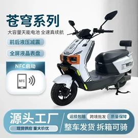 其他电动车;其他摩托车;电动自行车