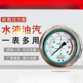 YZ杭州东亚耐震压力表YN100ZT 轴向带边抗震油压液压水压气压真空