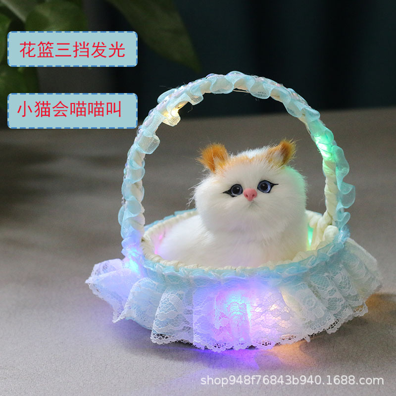 빛나는 바구니 (파란색) 노란색 귀 스쿼트 고양이는 짖을 수 있습니다.