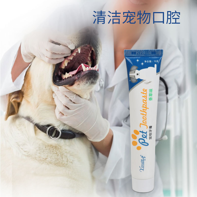 Pasta de dientes para mascotas, perros, gatos, cepillo de dientes, limpieza oral, vainilla, pasta de dientes con sabor a carne de res, productos para mascotas al por mayor