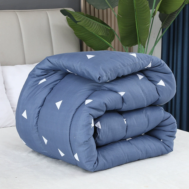 Одеяло Зимнее Одеяло Осень Зима Утолщенное Теплое Студенческое Общежитие Одеяло Сердечник Зимнее Одиночное Одеяло Охраны Труда Весна и Осень Одеяло Оптом