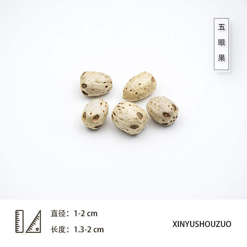 ドライフルーツ 松ぼっくりの種子標本 植物の実 手作りドライフラワー素材 猫の豊かな環境 幼稚園 自然|undefined