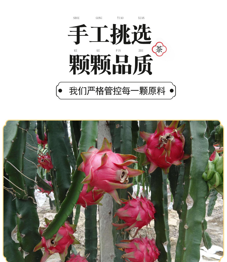 Ten Flavor Mixed Fruit Tea 100g Box Dried Fruit and Flower Blend for Hot or Iced Brewing key features
