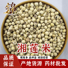 �a��؛Դ����ɏ�� ��ɏ��ɏɏ��ɏ�����ɏ����ș�����l500g