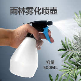 诺摩爬宠雨林雾化加湿喷壶浇花家用水壶洒水壶浇水养花园艺喷雾器