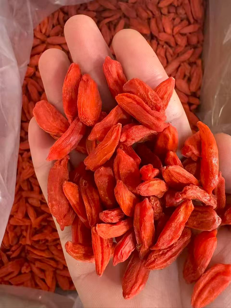Ningxia Large Red Goji Berries Gouqizi Lycium barbarum Dried Whole Berries for Tea Soup and Daily Use 1000g Bag in use