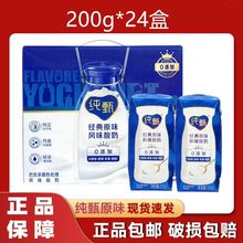 11月产蒙牛纯甄经典原味风味酸奶200g*24盒/箱纯甄酸奶