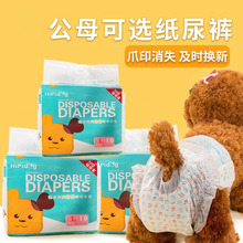 宠物变色纸尿裤狗狗棉质生理裤母狗卫生巾内裤公狗尿不湿批发