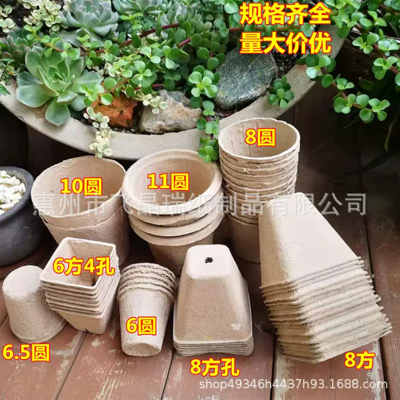 厂家定制一次性可降解纸浆育苗杯多肉花盆育苗杯现货种植盆