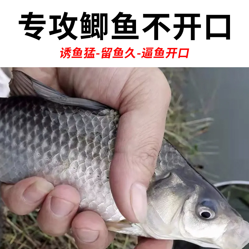 谷道香 鯽魚狂提釣魚小藥黑坑野釣水庫 草魚鯉魚鯽魚窩料魚餌料