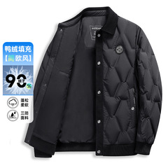 冬季新款男士针织翻领刺绣羽绒服潮流时尚休闲单排扣保暖外套