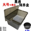 Large black transparent breeding box+climbing platform