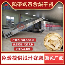 网带式百合烘干机 百合干全自动干燥机 百合片清洗漂烫烘干生产线