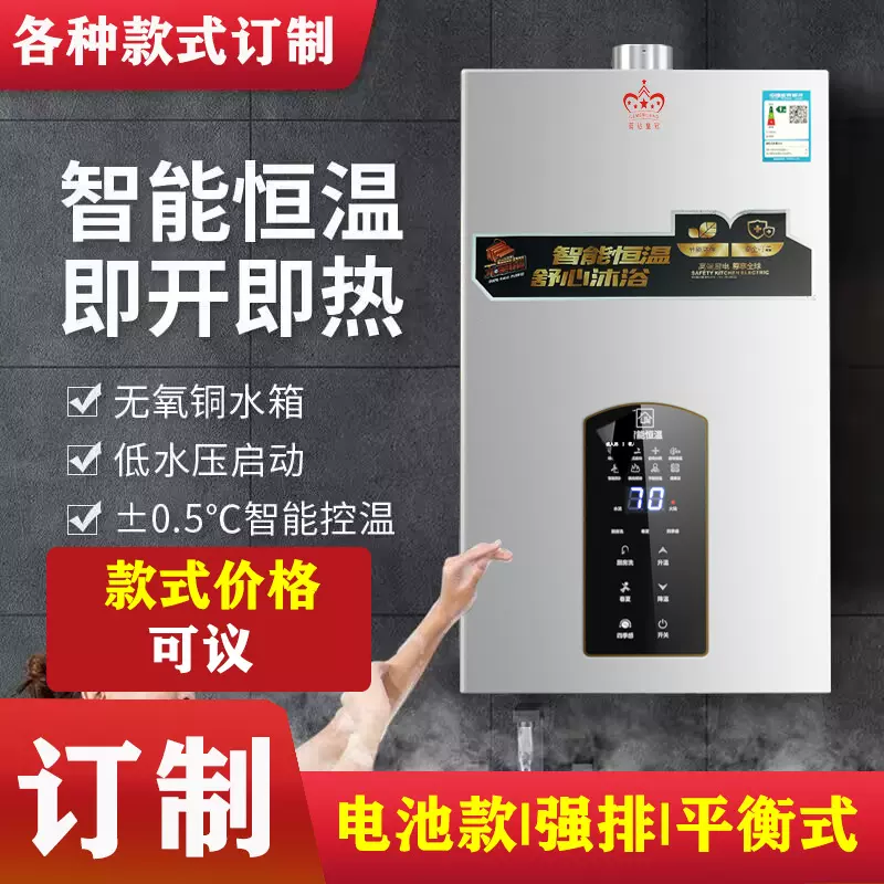 各种来样订做家用煤气热水器天然气液化气强排平衡式恒温智能