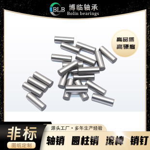 �ǘ˼ӹ����P� ���S�A���NᔝL���N�R�_�D�Sƫ�S�S�N�A���N
