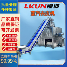 支持定制多功能蒸汽去皮机 全自动蒸汽爆皮机 葡萄桃子蒸汽脱皮机