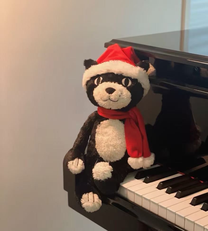 元のイギリスジェリーcatシリーズのぬいぐるみの超全合集3b斉防塵袋のバーゼル熊の手の花