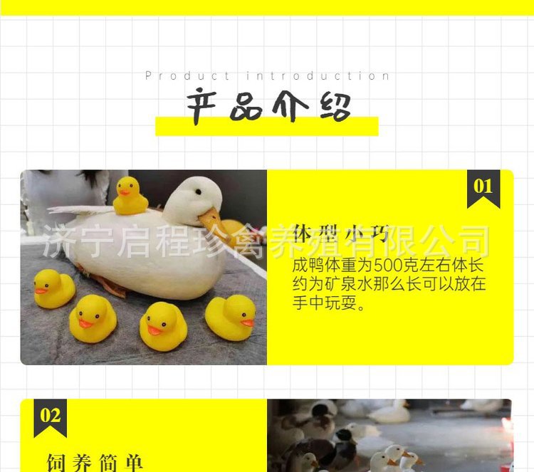 u=4239781484,212174266&