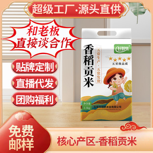 �S�����l �峣��������25��|���������� 5�� ��հ��b �峣����