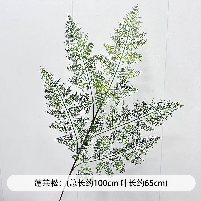 芦荀草绿植花龙须草假花白绿森系婚庆装饰自然风背景插花路引|undefined