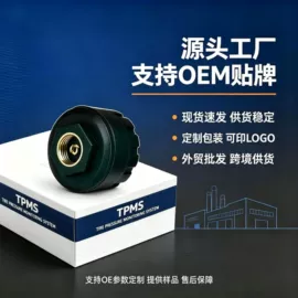 胎压监测系统;汽车传感器