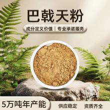 巴戟天粉 黄色粉末 易溶于水 巴戟天香气 干燥避光储存 现货批发