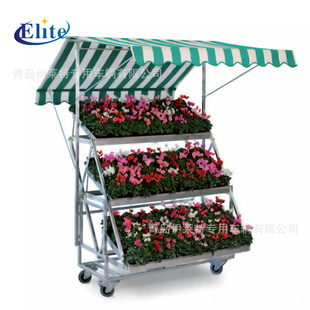 �S�����]չʾ��܇�����Ƅӻ����������չʾ��