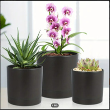 ׬Fϻɫˮ׺бPmֲ҃ﻨ