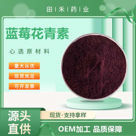 蓝莓花青素1%  25% 蓝莓提取物  量大从优 资质齐全