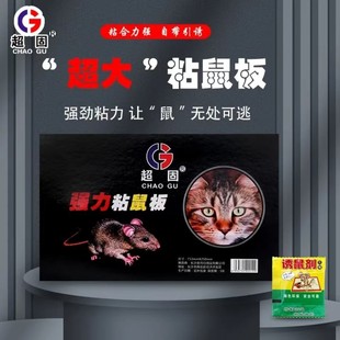 Super Solid and Strong Sticky Mouse Board Extended Version of Mouse Killing and Mouse Catching Stickers Warehouse Household Mouse Stickers Manufacturer Wholesale and Distribution