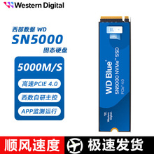 西部数据SSD M.2 PCIe4.0适用笔记本台式机固态硬盘1T 2T SN5000