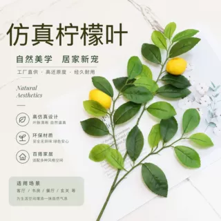 仿真柠檬叶手感胶布柠檬果假树枝叶装饰柠檬树叶树枝园林造景摆件
