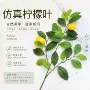 仿真园林假树手感胶柠檬叶