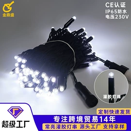 LED装饰灯;室外LED;室内LED