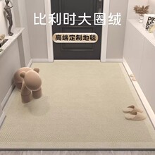 三防免洗圈绒地垫耐脏耐磨家用进门口脚垫易打理奶油风入户门地垫