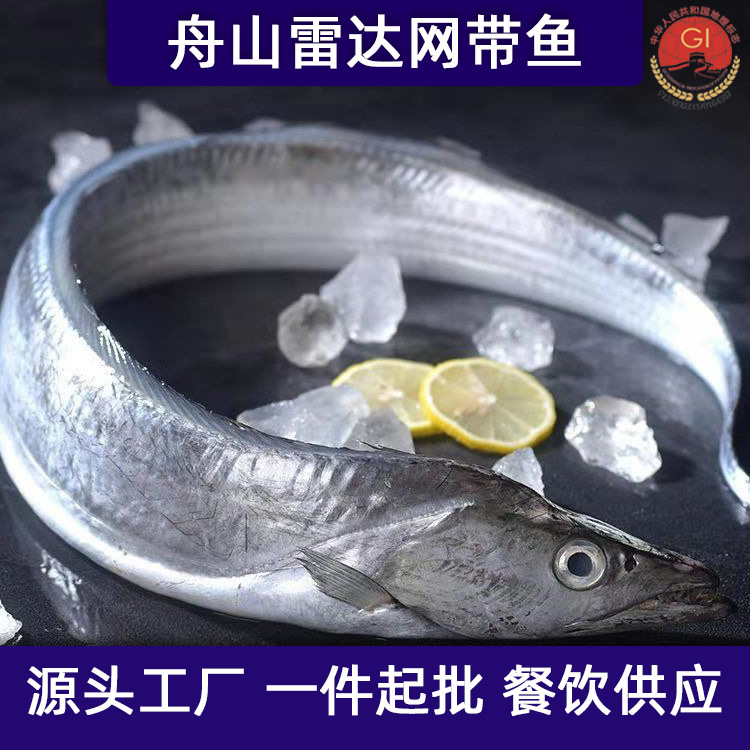 舟山带鱼雷达网新鲜液氮冷冻刀鱼野生油带鱼整条包装工厂整箱批发
