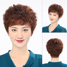 �ٰl�^��Ů ���˰l�z�̾��l�S���ٰl������б����������Ȼ �ٰl��