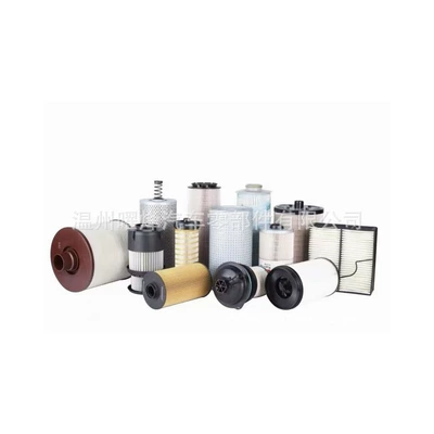 gas filter 13NA00-1107240, Natural gas filter