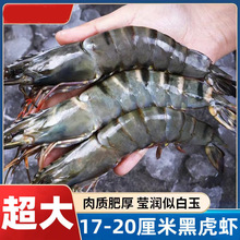 海鲜新鲜黑虎虾超大虾鲜活冷冻特大草虾竹节虾老虎虾巨大虾水产