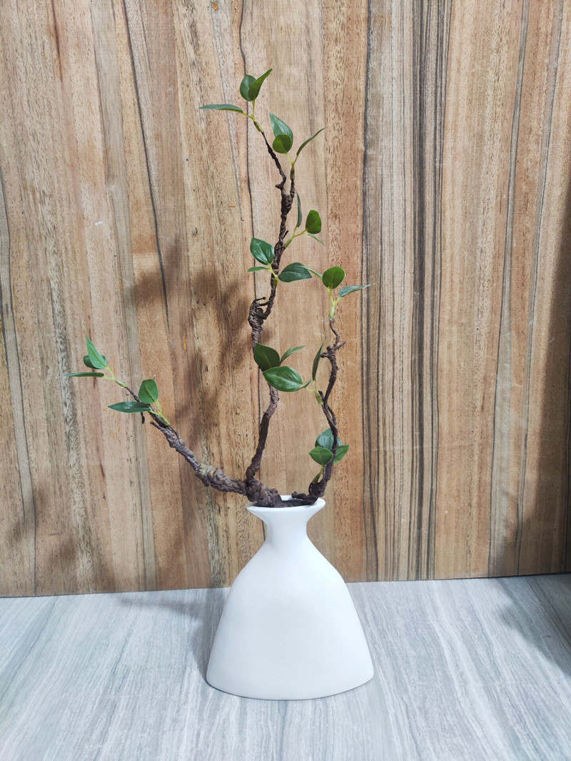 Ceramic Vase Design 6