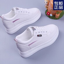 ���ŮЬ�U��͸��Ů�WЬ2025�����¿��ɸ��@�ݕr�Ѓ�����С��ЬŮ
