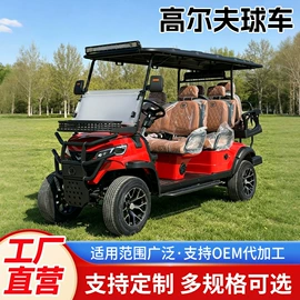 电动观光车;其他电动车;高尔夫球车